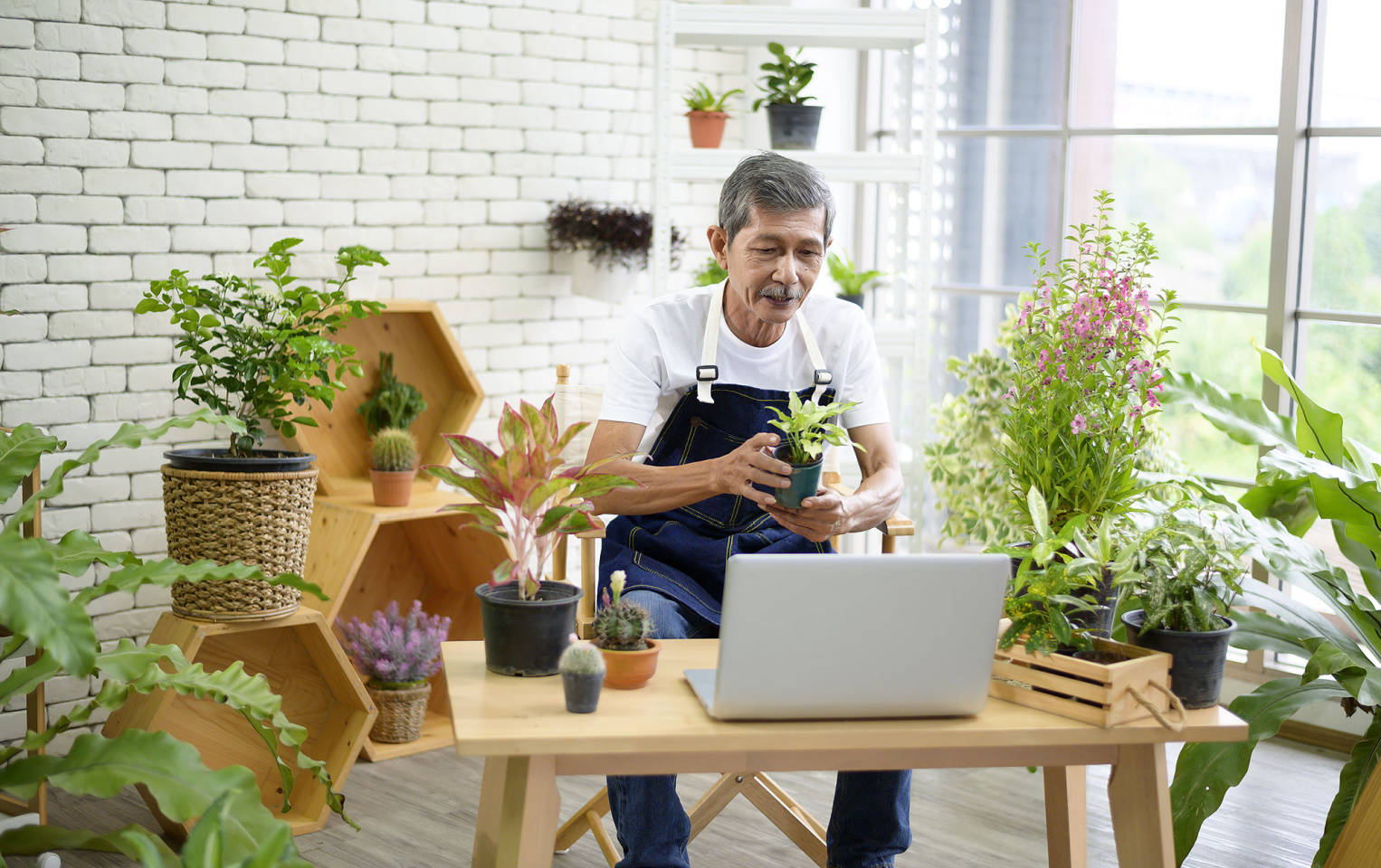 Man wearing a blue apron in a plant studio standing in front of a laptop with a plant in his hand