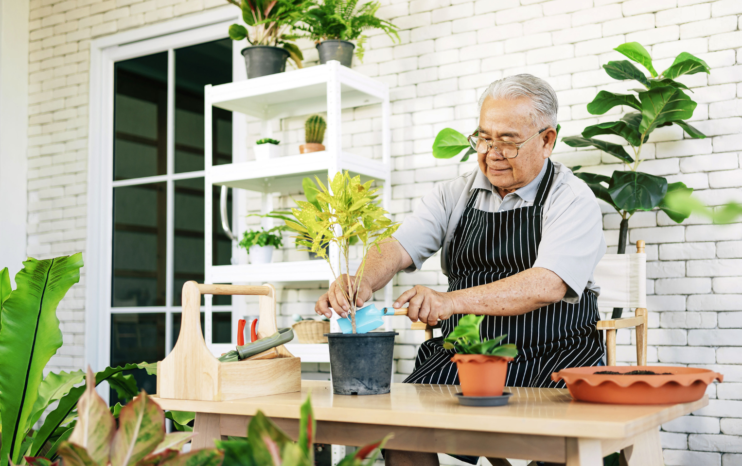 Man in a striped apron potting plants in a room surrounded by a variety of plants.