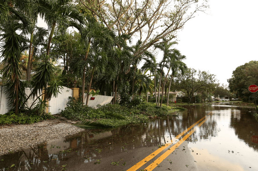 Clover Health | Hurricane Preparedness Tips for Older Adults